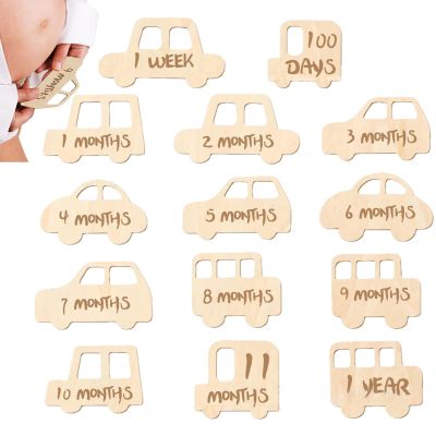 Baby Monthly Milestone Photo Props