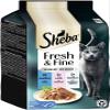 SHEBA Fresh & Fine Multipack in Jelly with Tuna and Salmon MSC 6 x 50g view 1