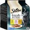 Sheba Fresh & Fine Portions Pack with Chicken and Salmon MSC 6 x 50g view 1