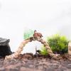 Hermit Crab Climbing Rope view 2