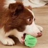 Dog Treat Ball view 2