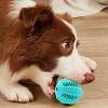 Dog Treat Dispenser Ball view 2