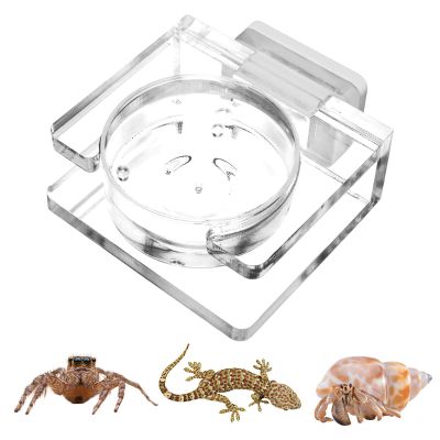 Feeder for Tarantulas
