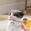 Catnip Toy Balls with Cartoon Owl Design view 3