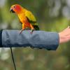 Waterproof Anti-Bite Arm Sleeve for Parrot Training view 3