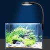 Beimus LED Clip Light for Aquariums view 3