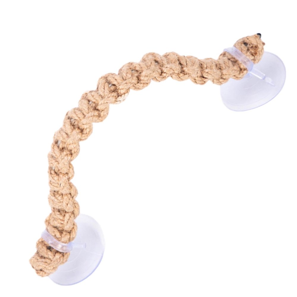 Hermit Crab Climbing Ladder