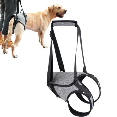 Senior Dog Lifting Harness with Rear Leg Support