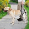 Senior Dog Lifting Harness with Rear Leg Support view 2
