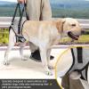 Senior Dog Lifting Harness with Rear Leg Support view 3