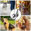 Senior Dog Lifting Harness with Rear Leg Support view 4