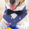Arroopu Wedding Outfit for Dogs view 3