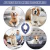 Arroopu Wedding Outfit for Dogs view 4