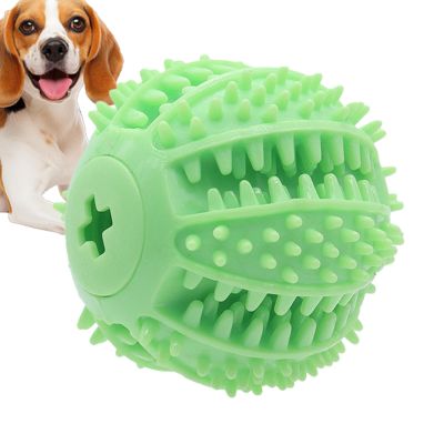 Dog Treat Ball