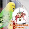 Bird Shredder Ball Toy view 3
