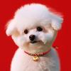 Chinese New Year Pet Collar view 4