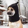 Dog Snood - Earmuff view 2