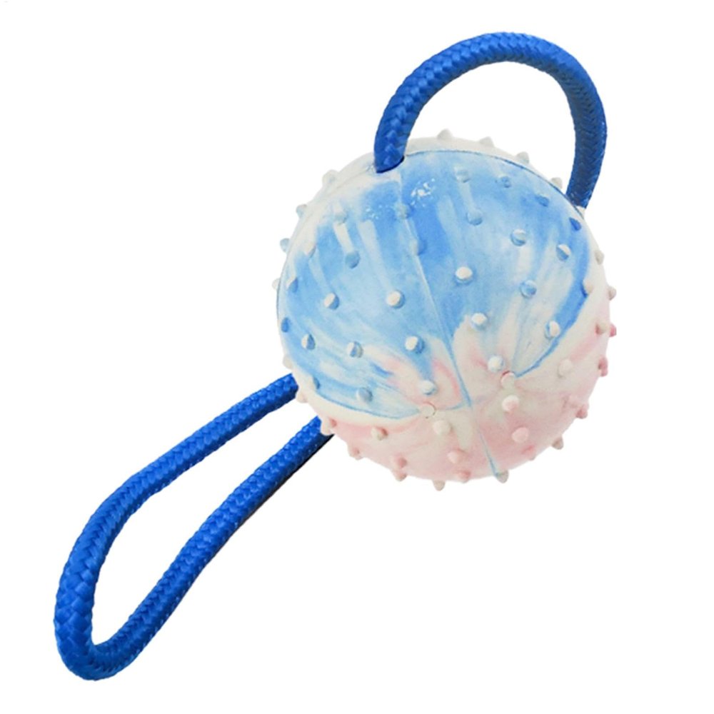 Ball on Rope Dog Toy