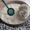 Hamster Sand Scoop view 2