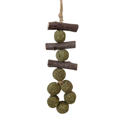 Hamster Nut Chew Toy – Chew Sticks for Hamsters and Small Pets
