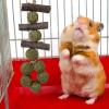 Hamster Nut Chew Toy – Chew Sticks for Hamsters and Small Pets view 2