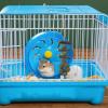 Hamster Nut Chew Toy – Chew Sticks for Hamsters and Small Pets view 4