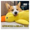 Noovelo Calming Duck Toy for Dogs, Large view 2