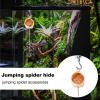 Magnetic Jumping Spider Habitat view 3