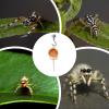 Magnetic Jumping Spider Habitat view 4