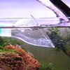Fangxuee Pipe Fish Aquarium Outlet for 12/16mm & 16/22mm view 4