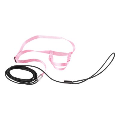 Fangxuee Pet Harness and Leash