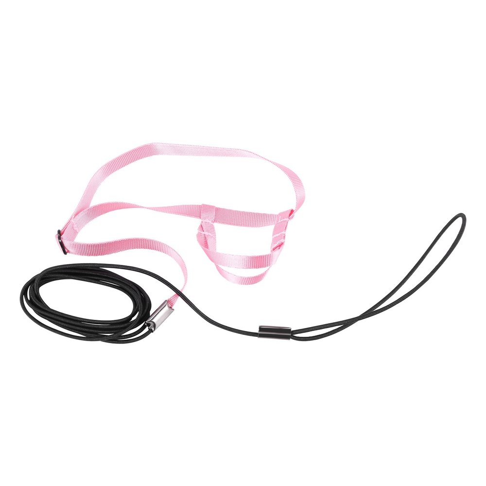Fangxuee Pet Harness and Leash