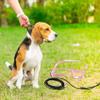 Fangxuee Pet Harness and Leash view 3