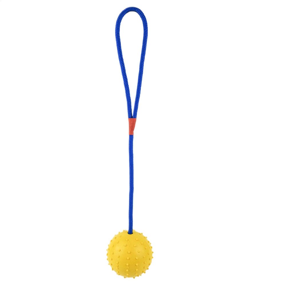 Generic Dog Ball with Rope