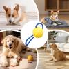 Generic Dog Ball with Rope view 4