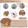 Fangxuee 200 Ginger Patches to Promote Circulation, Relieve Pain, and Improve Sleep view 4