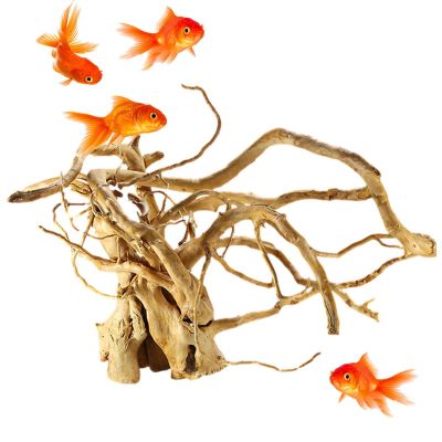 Aizuoni Driftwood for Aquarium