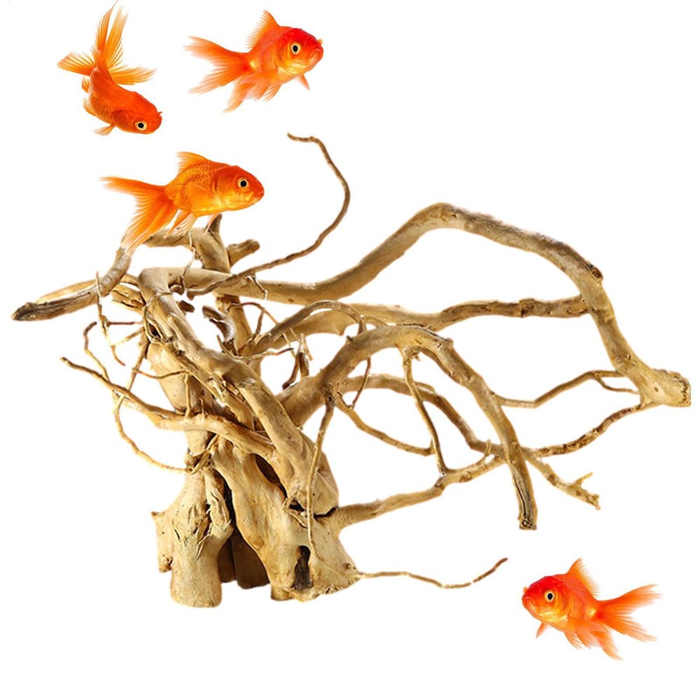 Aizuoni Driftwood for Aquarium