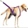 QAUUCP X-Back Dog Pulling Harness for Weight-Pull and Speed Training, Sled Harness for Medium and Large Dogs (Blue, XXL) view 2
