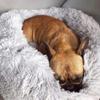SJHDHDA Soft Plush Round Pet Bed, Dark Gray, XL, 80 cm Diameter view 4