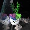 Betta Fish Hide view 3