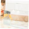 10 Floating Aquarium Decorations view 4
