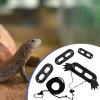 Lizard Harness for Bearded Dragons view 3