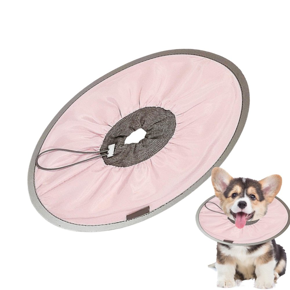 Recovery Collar for Dogs and Cats