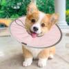 Recovery Collar for Dogs and Cats view 2