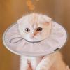 Comfortable Cat Recovery Collar view 3