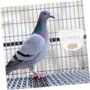 Sosoport Bird Feeders 8-Pack view 4