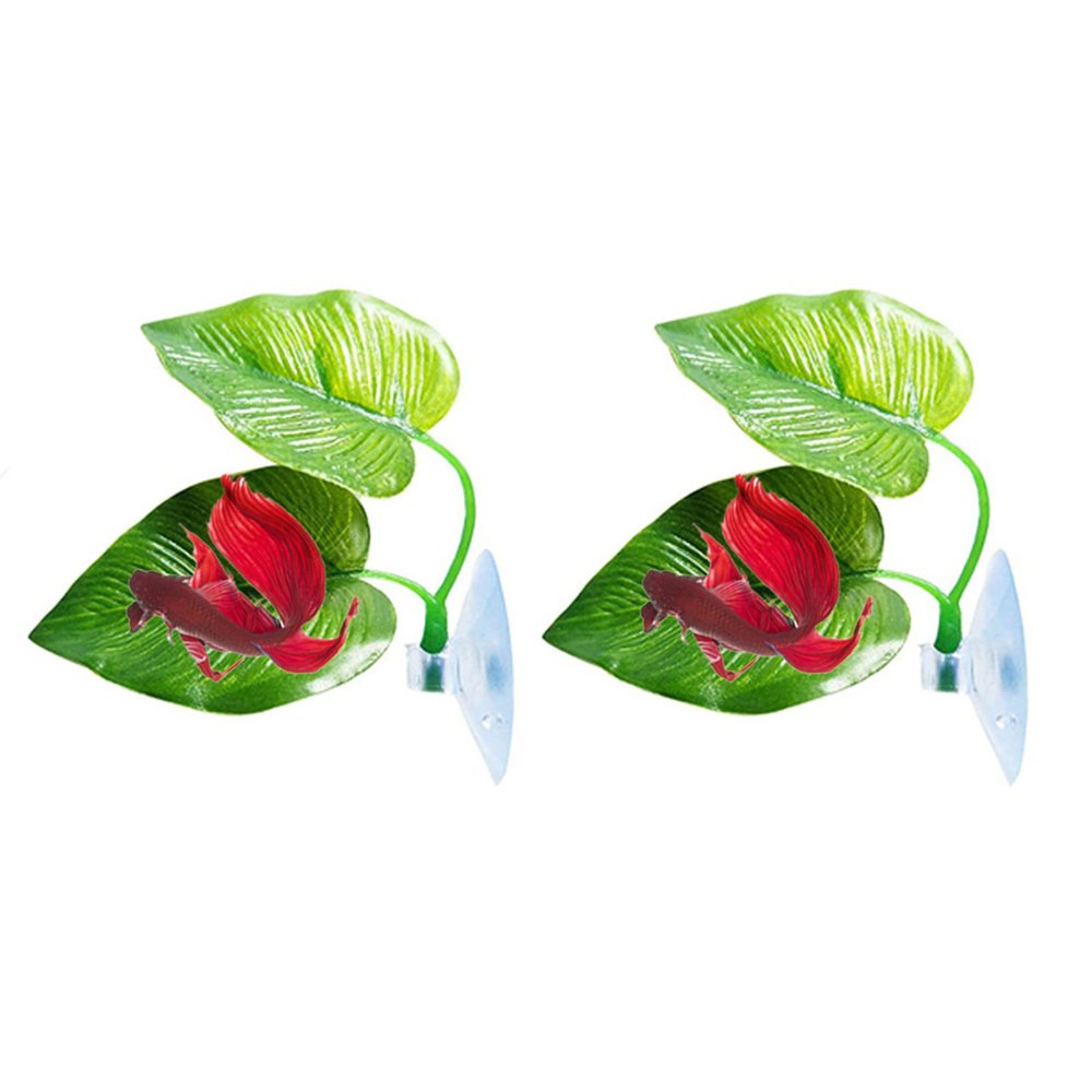 Betta Fish Leaf Pad