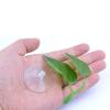 Betta Fish Leaf Pad view 4
