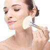 TOVINANNA 4-Piece Fan Makeup Brush Set, Nylon and Wood, for Powder, Blush, and Highlighter view 4